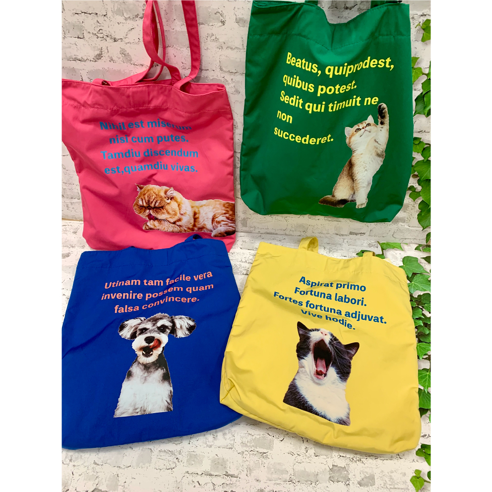 【あべのキューズモール店】ノビス　春のおすすめアイテム！