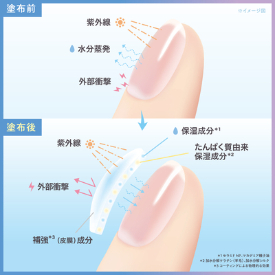 塗布イメージ.jpg