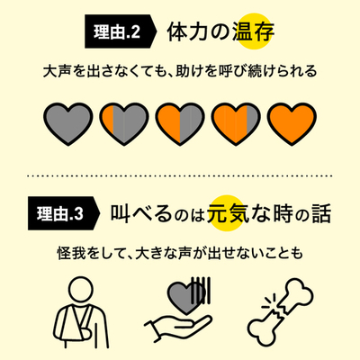 4531661088497-4ホイッスル3.jpg
