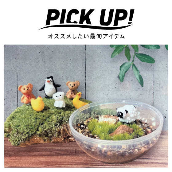  【江坂店】カプセルにかわいい苔テラリウムをつくろう！