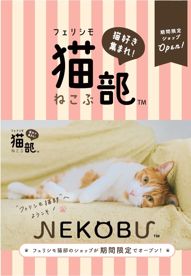 【ららぽーと富士見店】2月22日はネコの日！