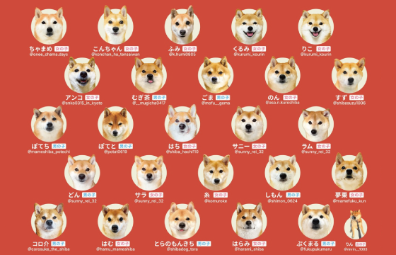 神経衰弱5.png