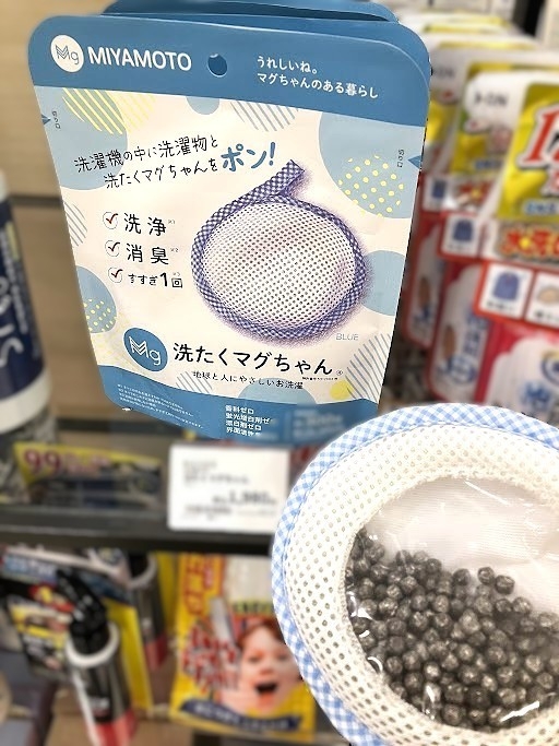 マグちゃん (3).jpg