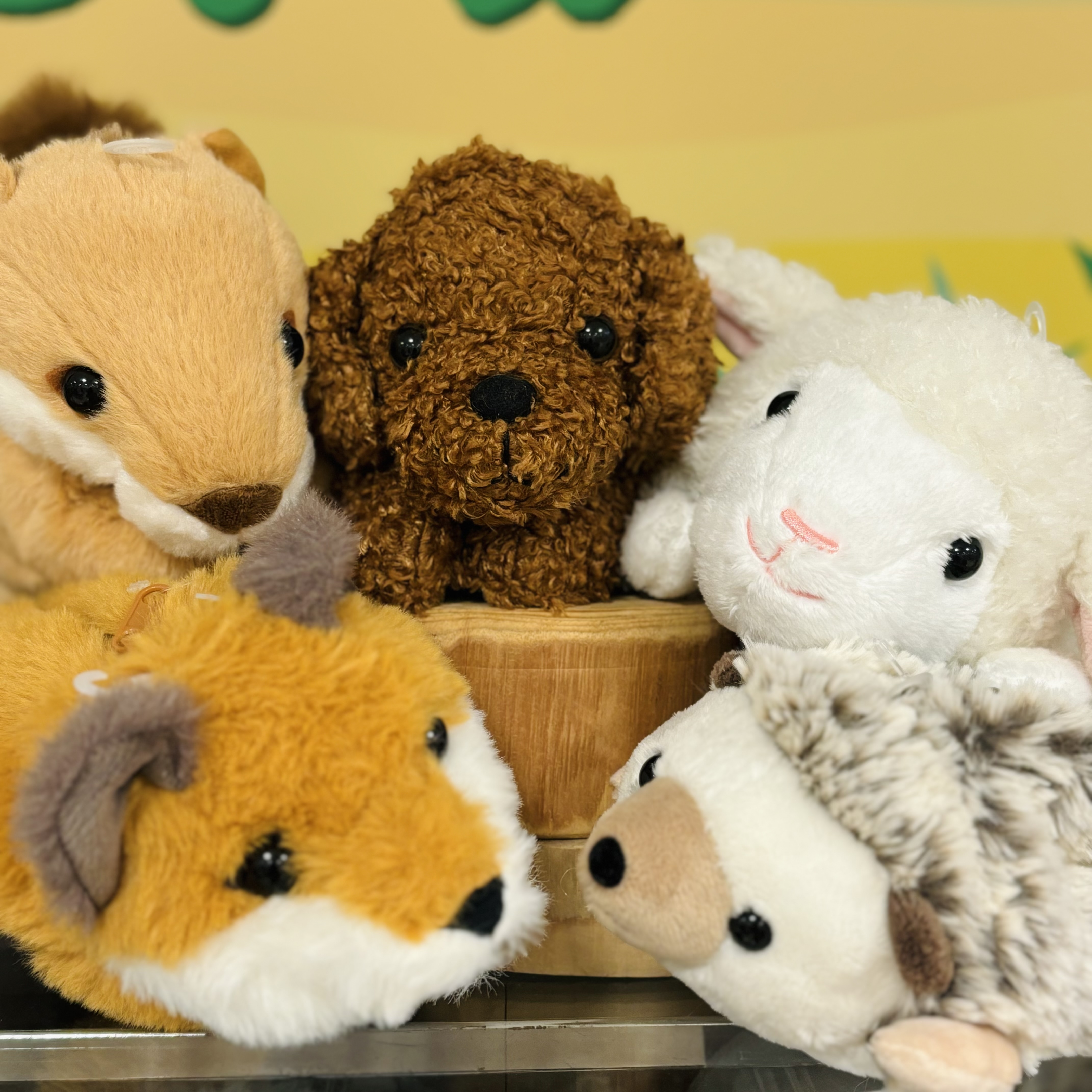 【博多店】ずっと触っていたくなるペンケース