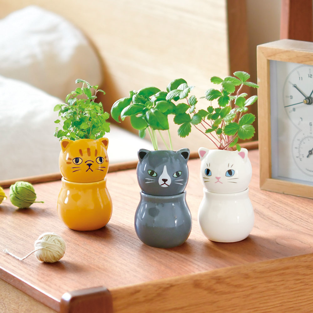 【博多店】ニャンとも可愛い栽培キット