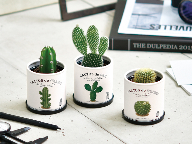 【博多店】春から始めるサボ生活