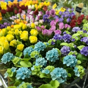 IMG_8835.jpeg