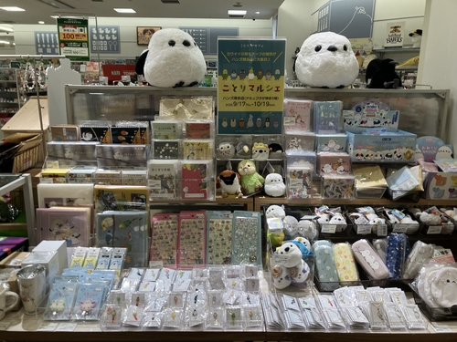 IMG_5348.jpeg