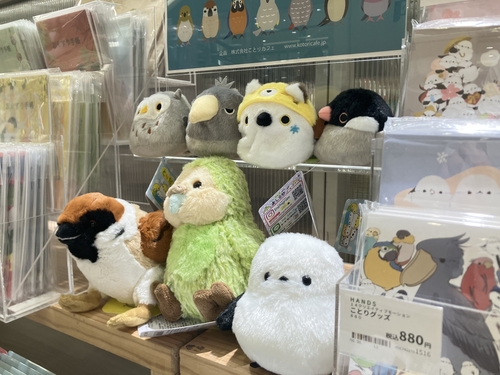 IMG_5350.jpeg