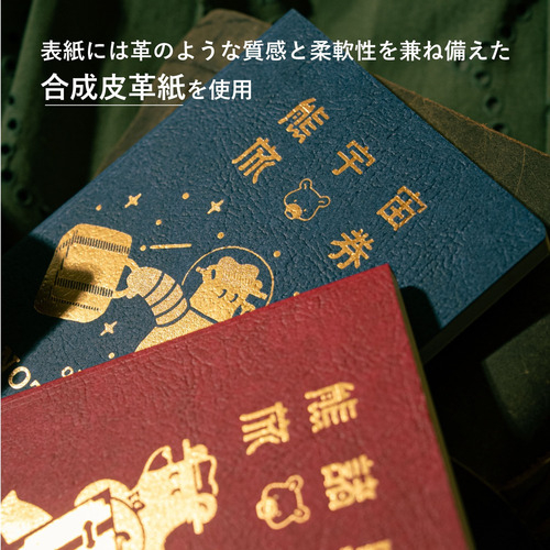 4541232305670-4.jpg