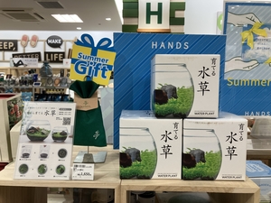 画像②.JPG