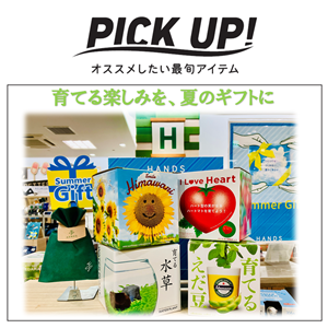【鹿児島店】手軽に楽しむ♪植物栽培キット