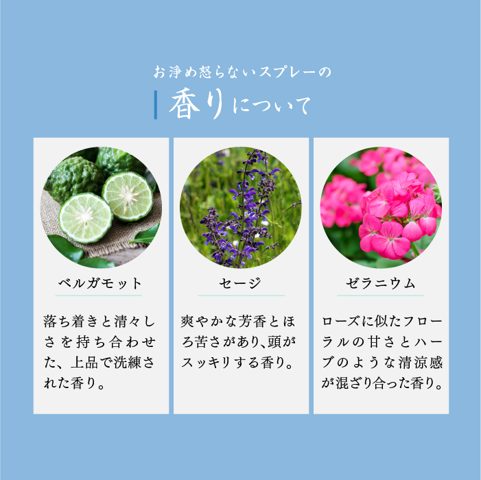 https://store.hands.net/kanazawa/item/3_000000000370.png