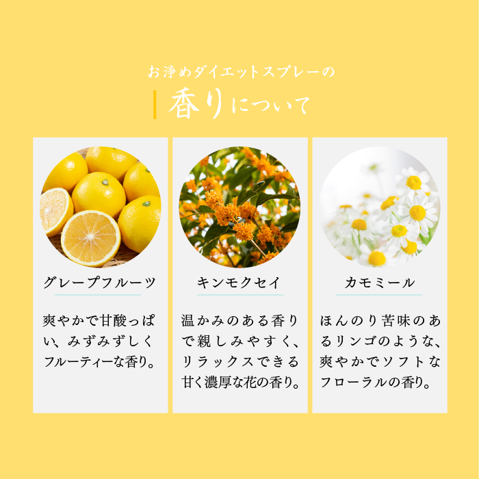 https://store.hands.net/kanazawa/item/3_000000000371.png