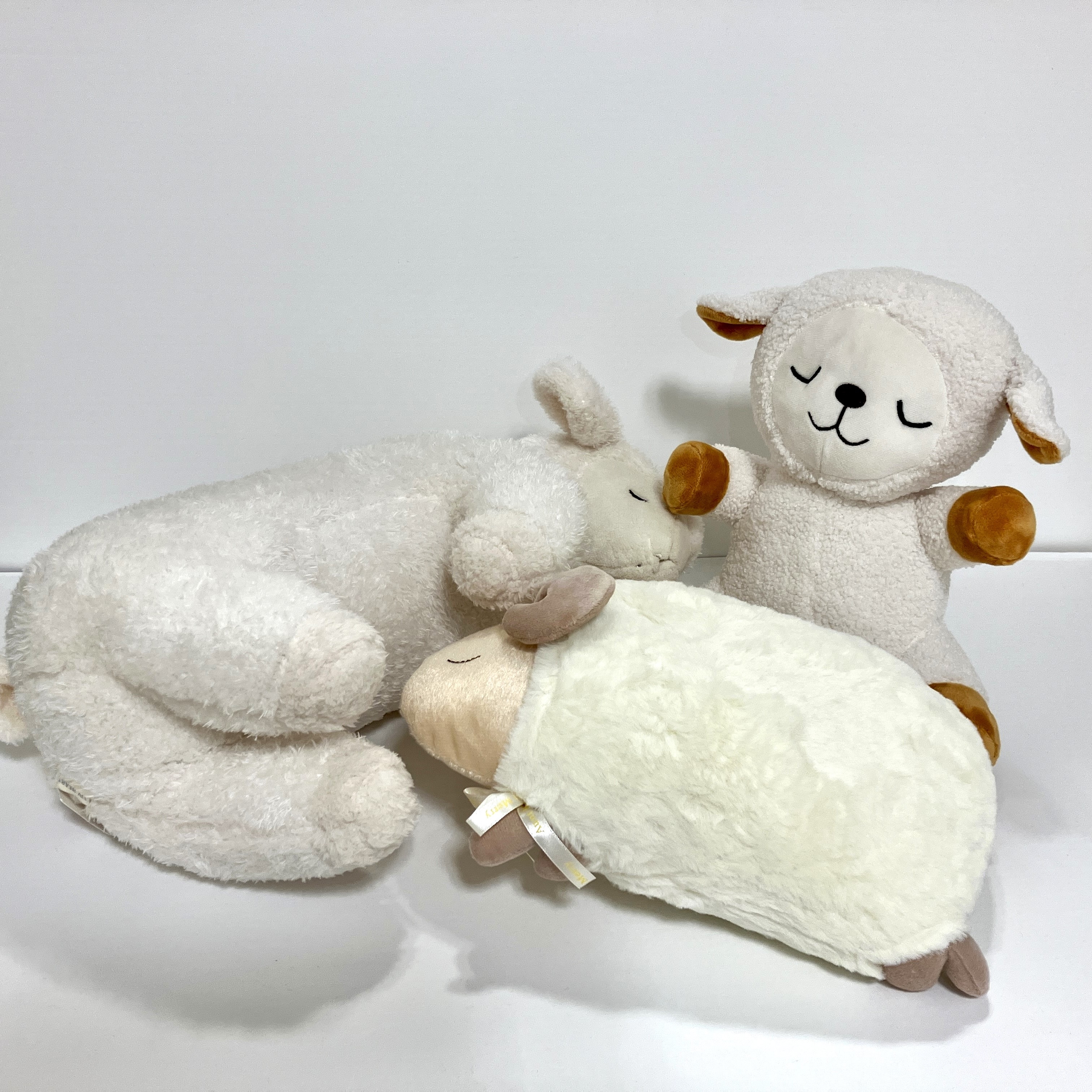 熊本店】ヒツジで癒されませんか？ - 店舗のイチオシ - ハンズ熊本店