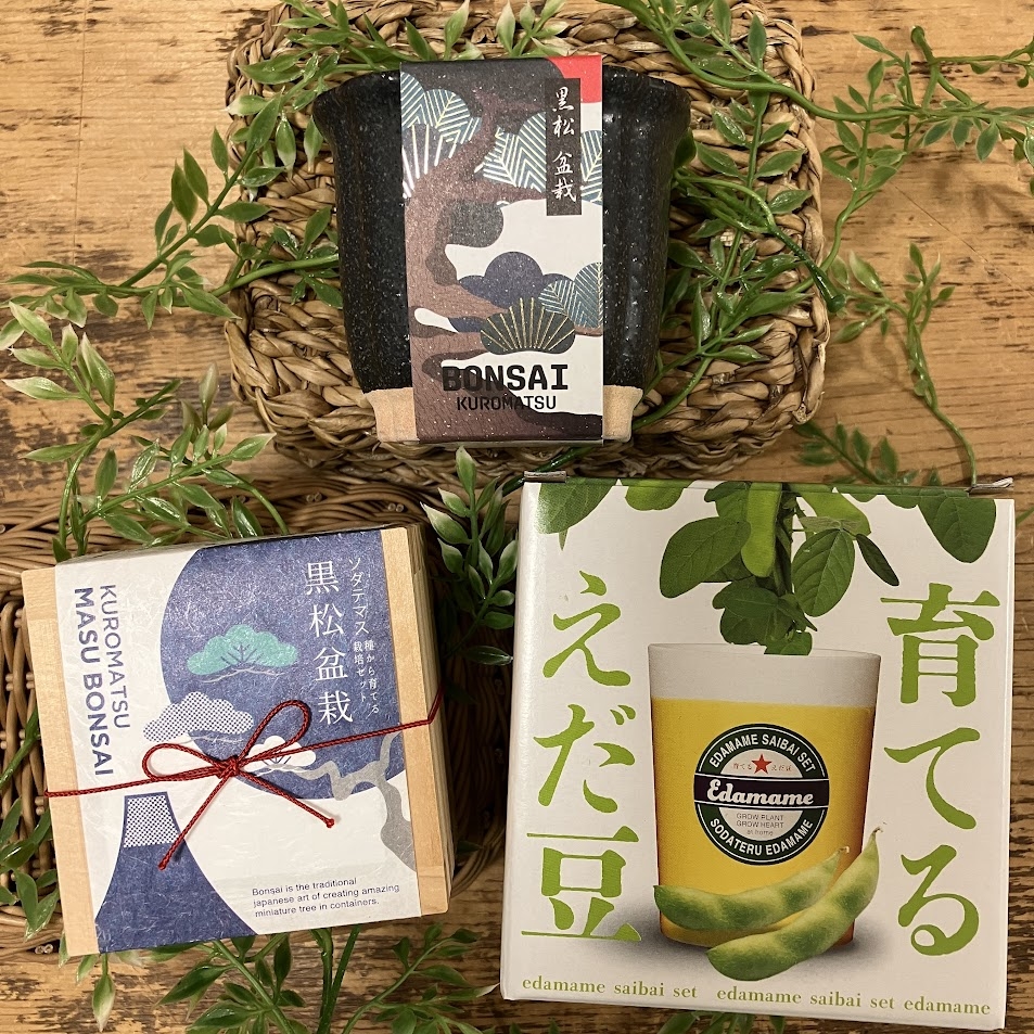 【熊本店】父の日に和の癒しを贈りませんか