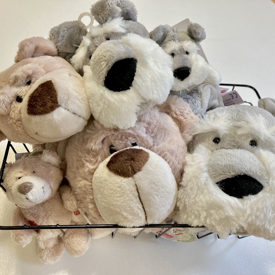 【熊本店】ドイツからやってきた！NICIのご紹介♪