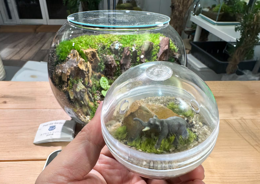 https://store.hands.net/lala-hiratsuka/item/0ea18022e208edbb09f41709725e125f0173c2d0.png