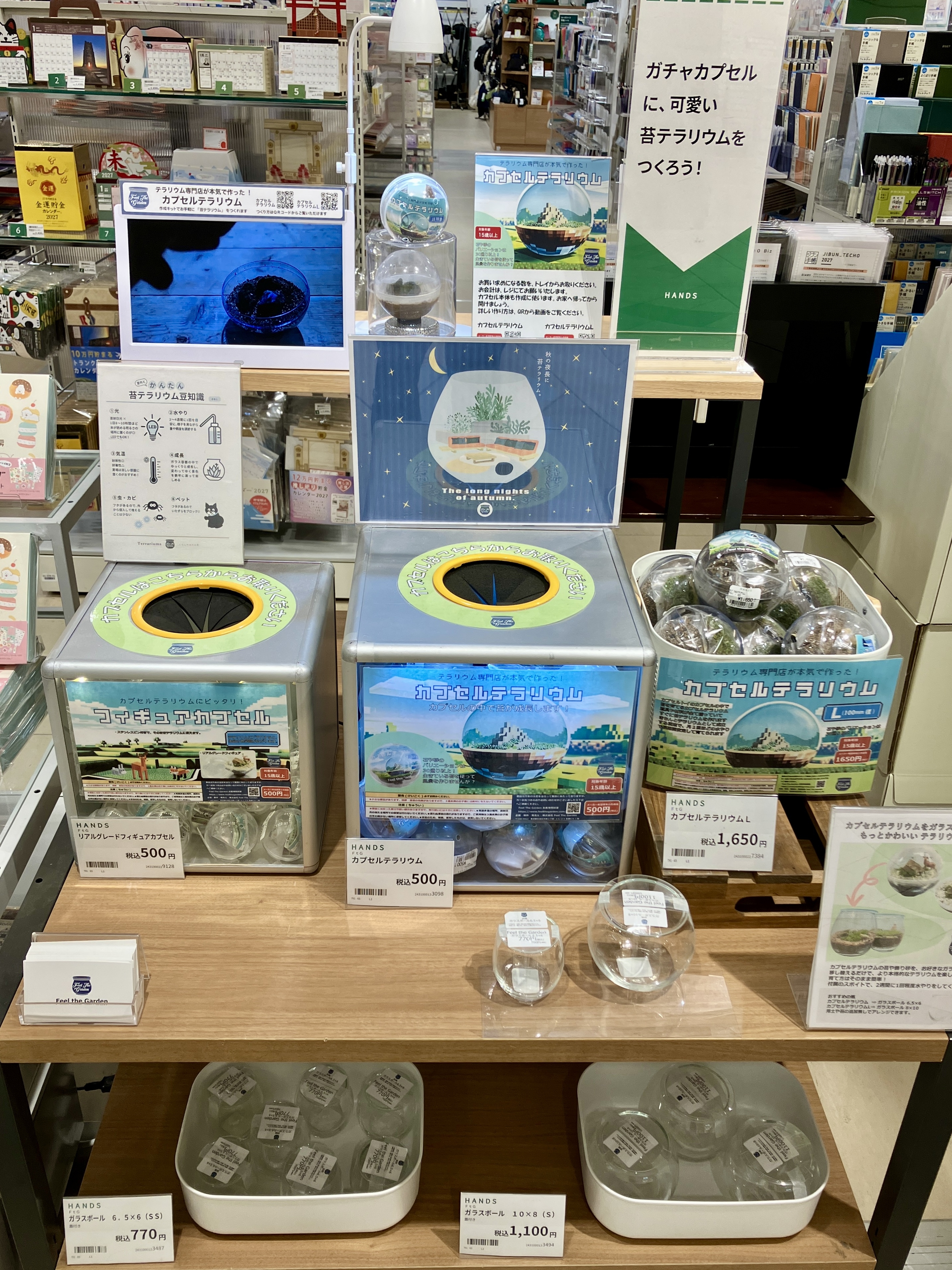 【ららぽーと湘南平塚店】秋の夜長に苔テラリウム