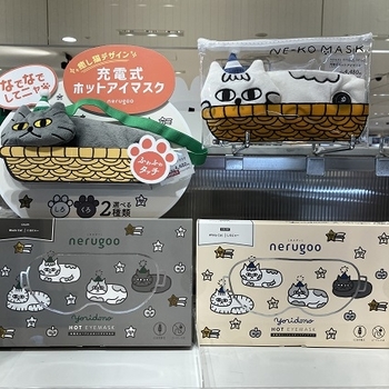 IMG_2627 - 伊藤将吾.jpeg