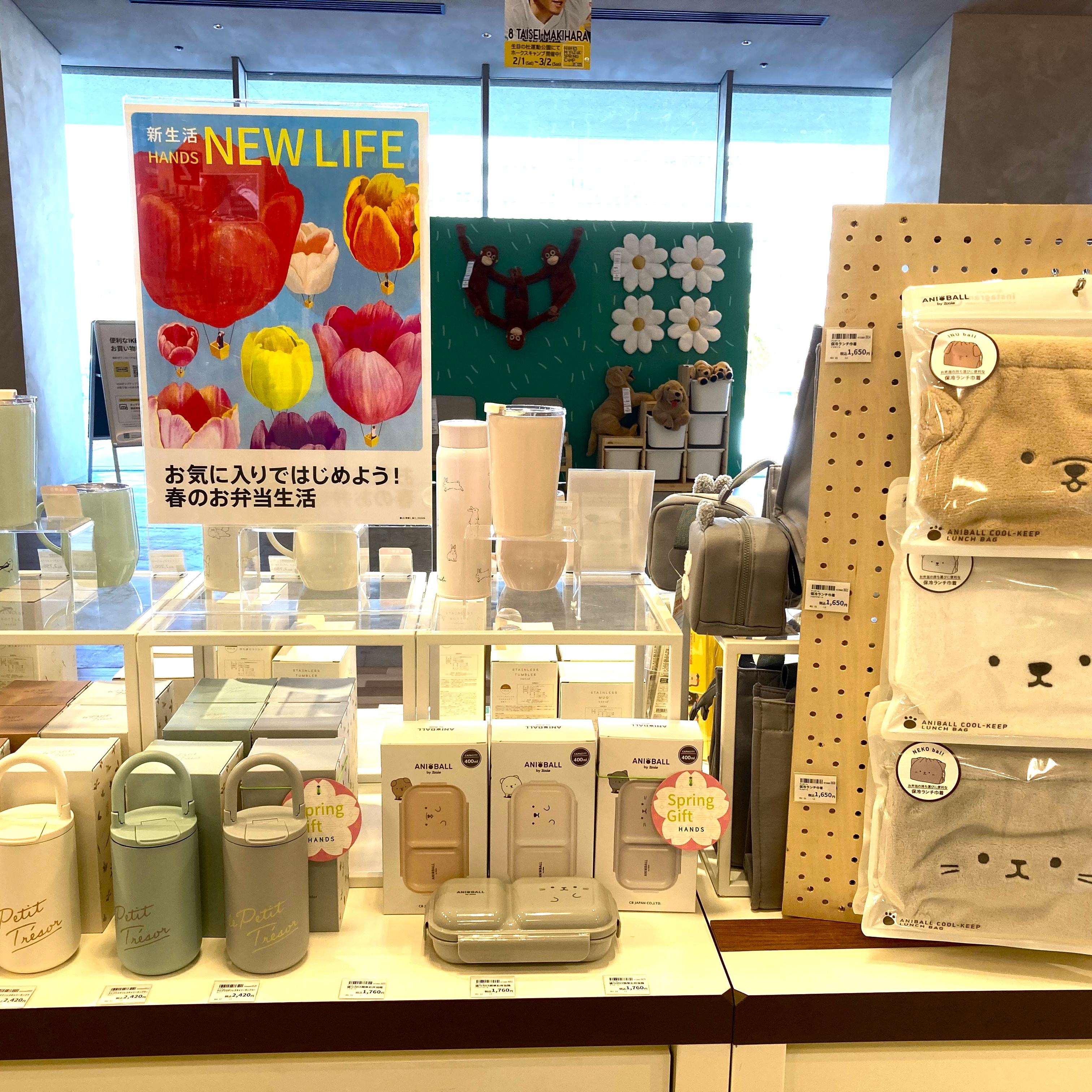 【宮崎店】もうすぐ春！お弁当を持って出かけよう♪