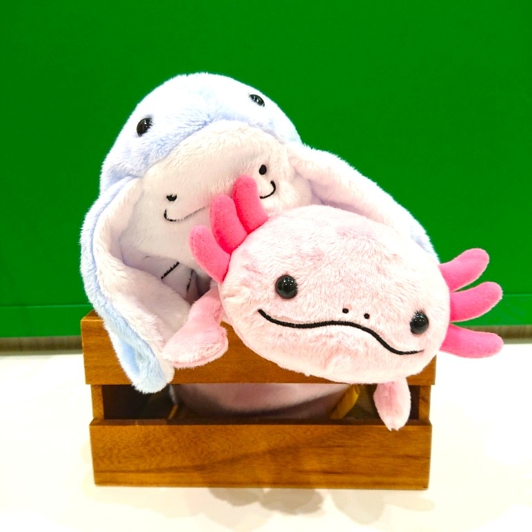 【宮崎店】『文具祭り』好評開催中!!