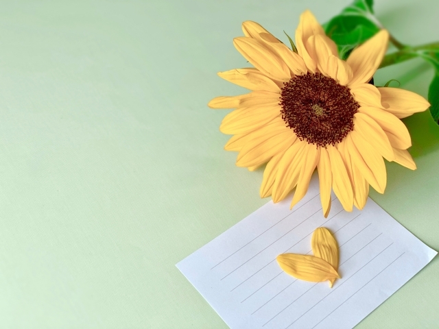 ７月２３日は「ふみの日」です。今年の夏、お手紙を書いてみませんか？