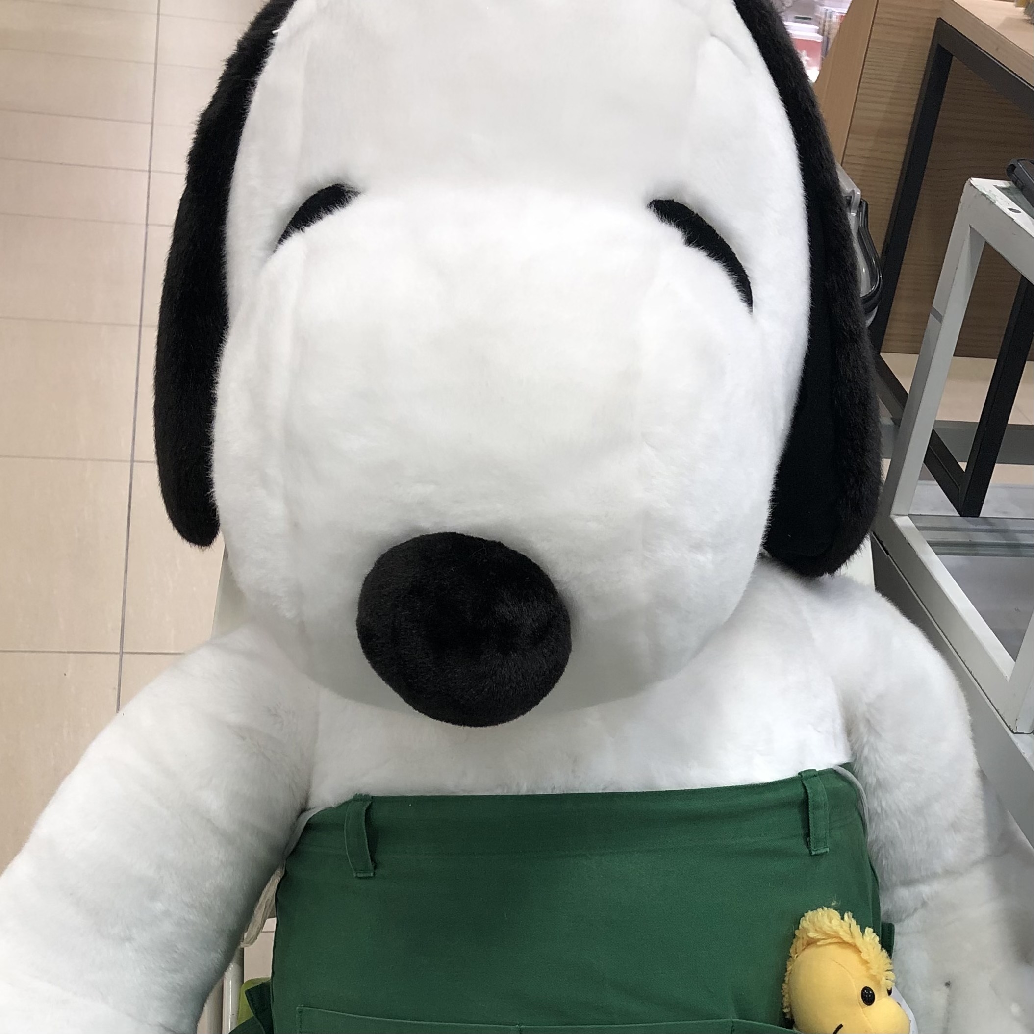 【大分店】スヌーピーだよ！みんな集合！！