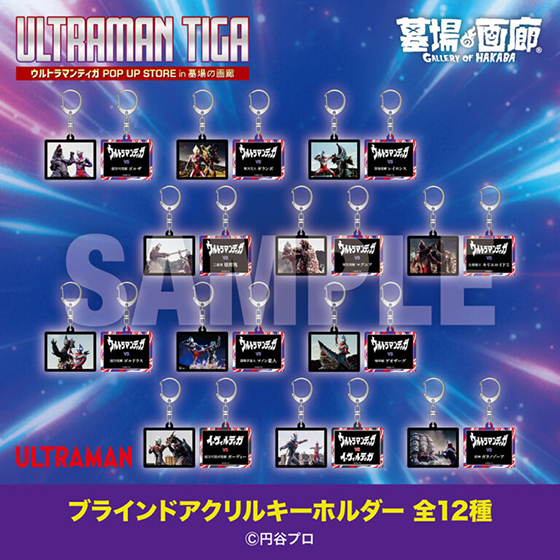 アクキー.jpg