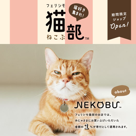 【大宮店】猫好き集まれ！フェリシモ猫部