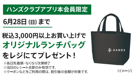 太田_再来店施策_ランチバッグ.jpg