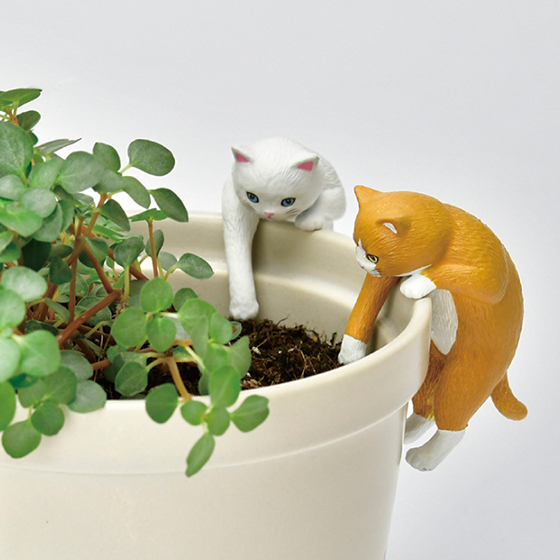 【札幌店】お部屋で植物を「栽培」してみませんか？