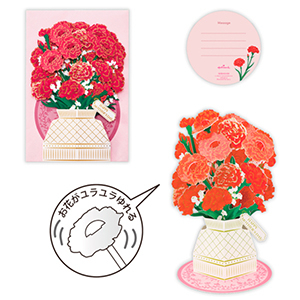 H_ホールマークカーネーション②.jpg