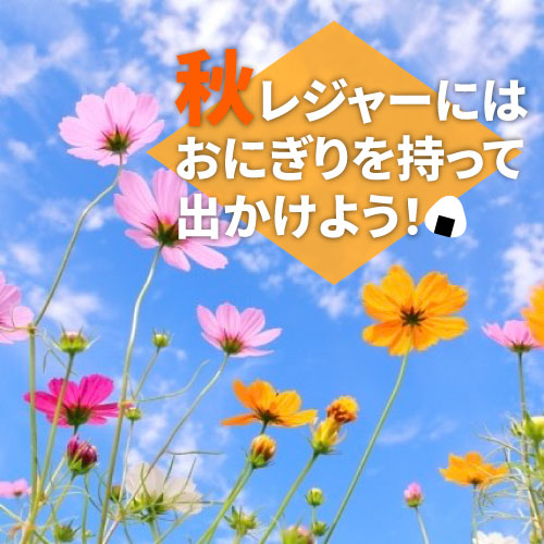 【仙台店】秋レジャーにはおにぎりを持って出かけよう！
