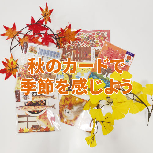 【仙台店】秋のカードで季節を感じよう