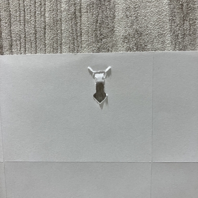 ハリナックス綴じ穴.jpeg