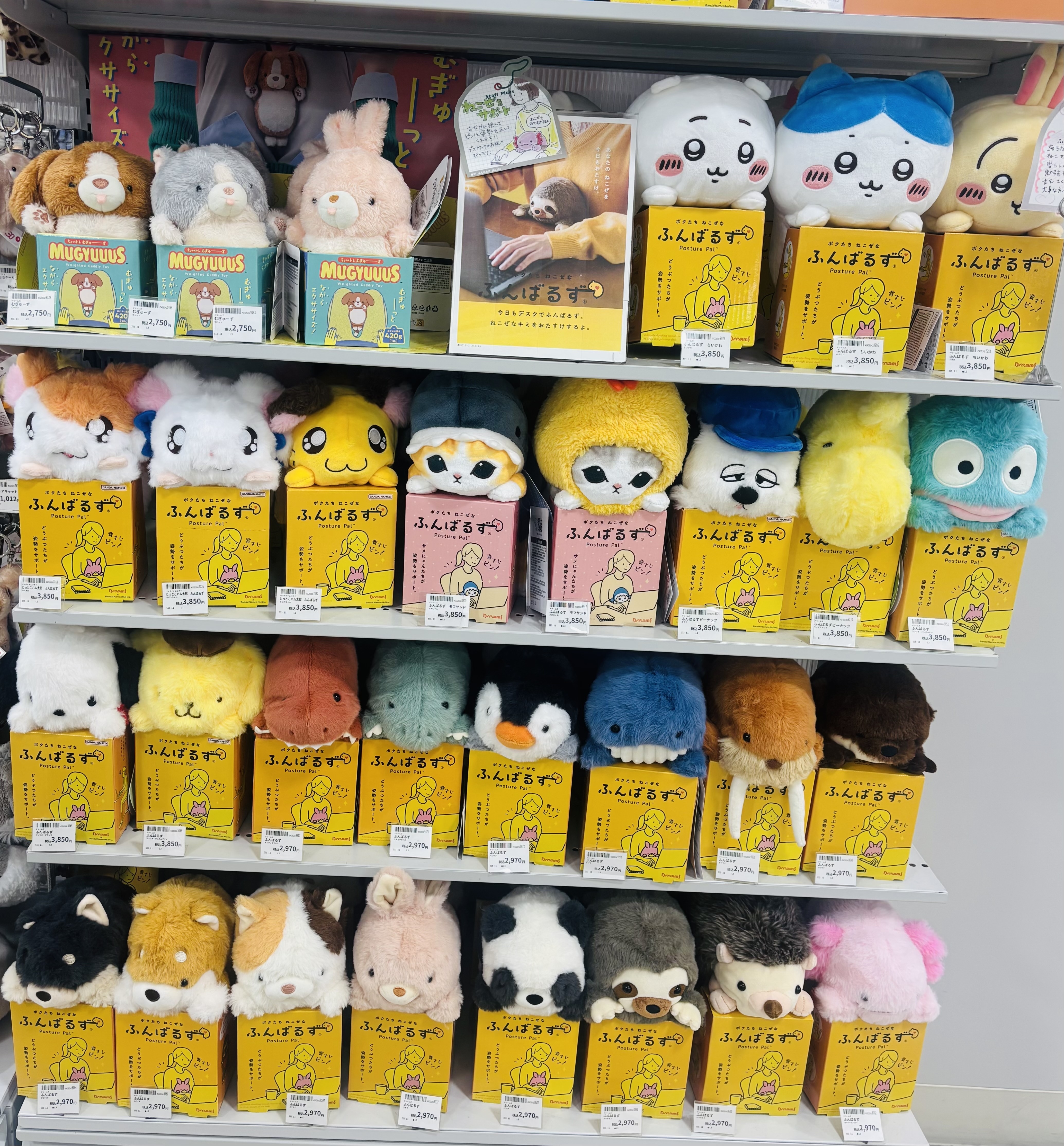 https://store.hands.net/sendai/item/b62dd61675c819d60413401f41e86fdd65082c56.jpg