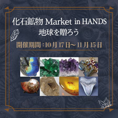化石鉱石アイコン.jpg