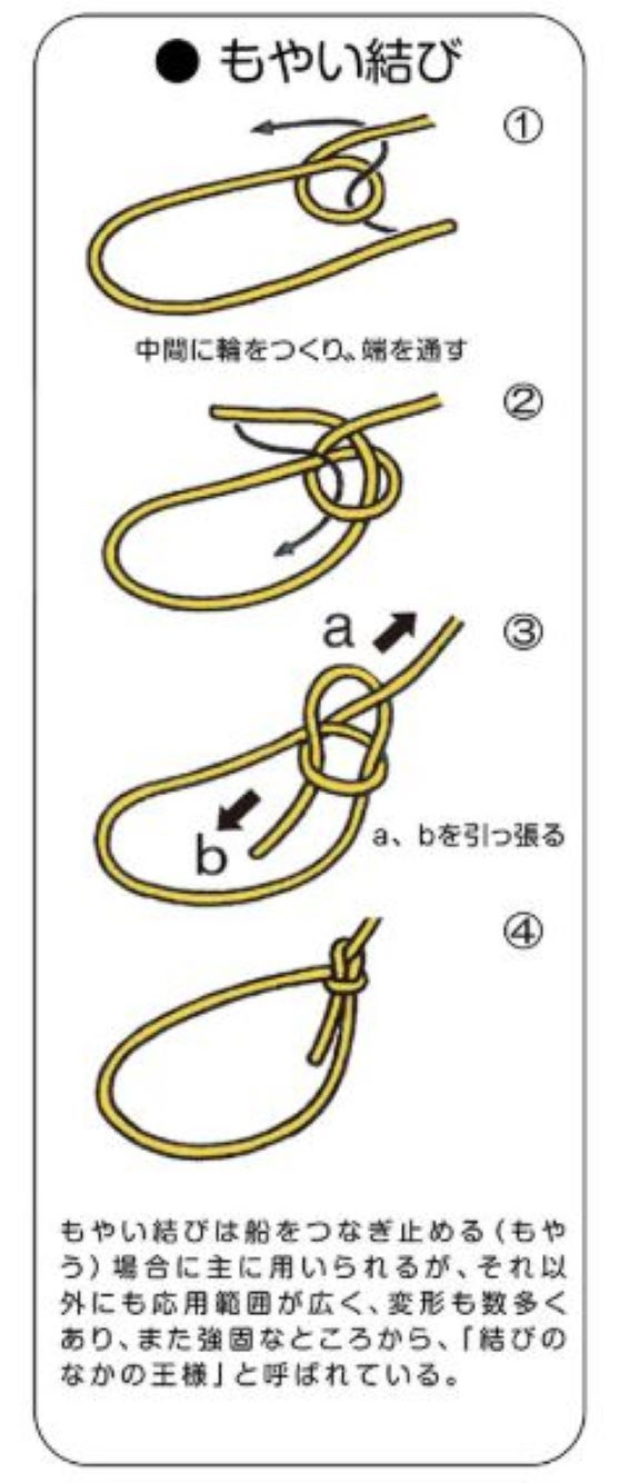 https://store.hands.net/shinjuku/item/80da4646b2a1fb2ebe503e3489698a1ff348d772.JPG