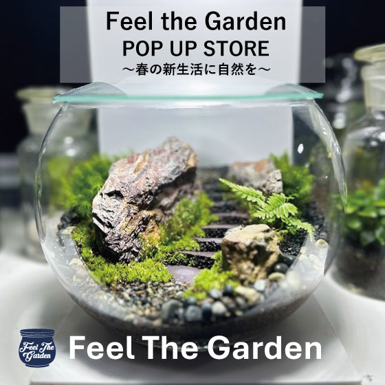 【新宿店/3F特設会場】苔テラリウムワークショップ受付中！