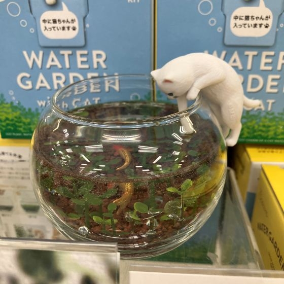 【新宿店/5F】春から始める栽培セット