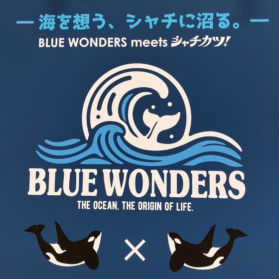 【新宿店/5F】海を想う、シャチに沼る。