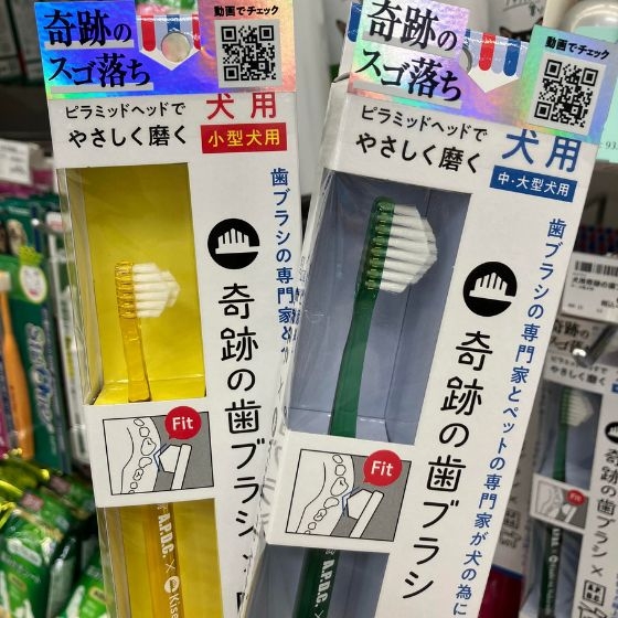 【新宿店/5F】うちのコの歯磨きタイムをアップデート