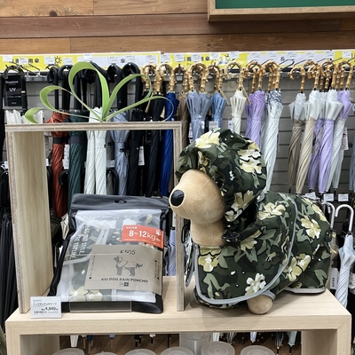IMG_0643.jpeg
