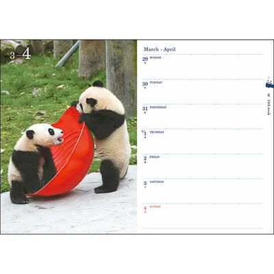 動物8.jpg