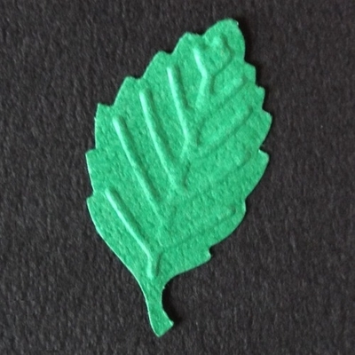 4902408890152-2.jpg