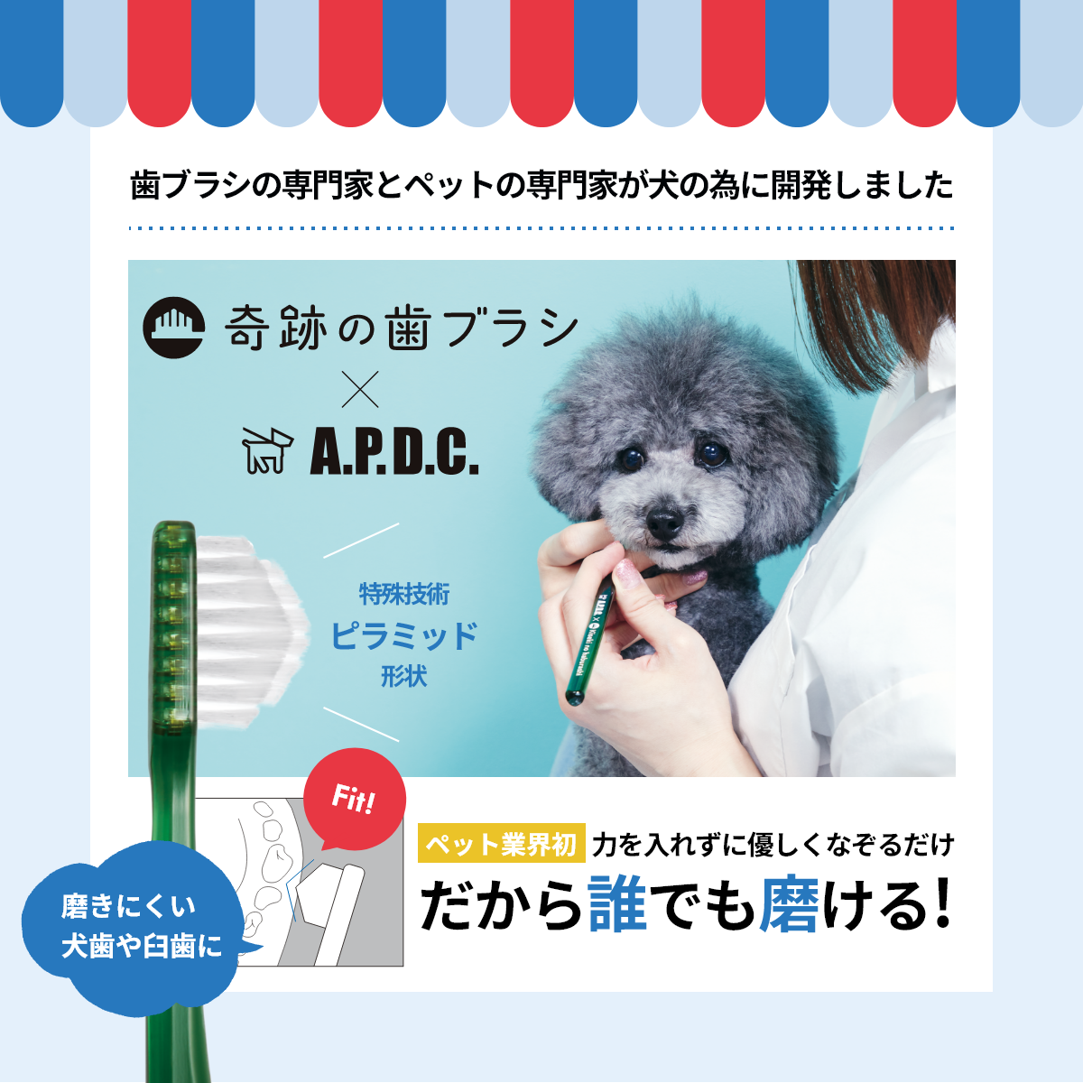 https://store.hands.net/shinjuku/item/ea05fd1b138d7554f8351286eaeafe962abe2b27.png