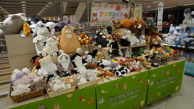 DSC00856.JPG