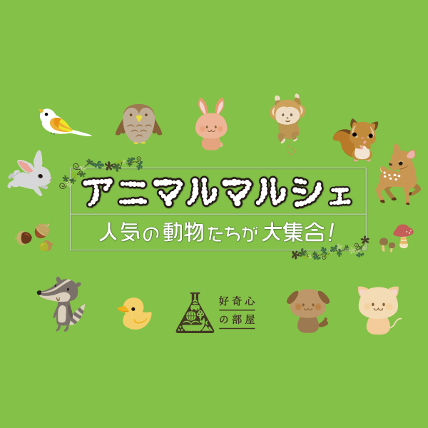 【静岡店】人気の動物たちが大集合！「アニマルマルシェ」開催中！