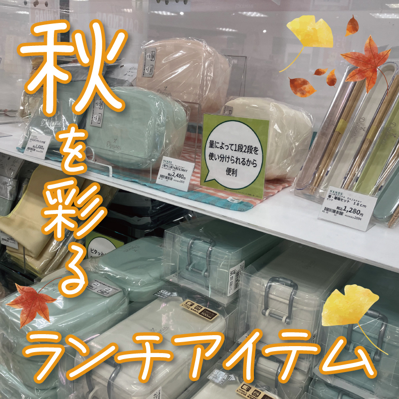 【静岡店】毎日のランチを自分らしく！秋を彩るランチアイテム